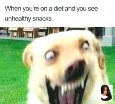 Animal Animal Meme Creepy Creepy Die Ihren Machen The Person Or Thing That Is So Remarkable As An Example Animal Memes Funny Animal Memes Funny Memes