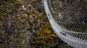A time, place, or means of connection or transition building a bridge between the two cultures the. World S Longest Pedestrian Suspension Bridge Opens In Portugal World News The Indian Express