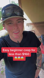 Easy DIY Chicken Coop Building for Beginners