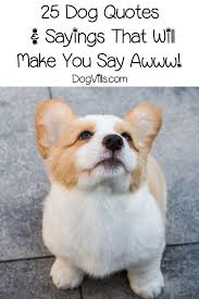 Wait, wait, do you seriously have a mirror facing the foot of your bed? Walk With Dogs Quotes Novocom Top