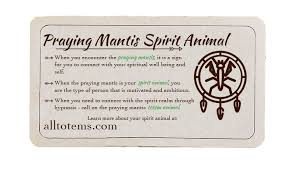 Discover Praying Mantis Symbolism Spirit Animal Meaning Animal Totem Spirit Guides Praying Mantis Symbolism