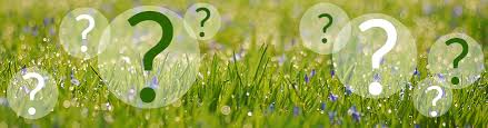 We did not find results for: Fragen Antworten Ahrens Sieberz Pflanzenversand Gartenbedarf