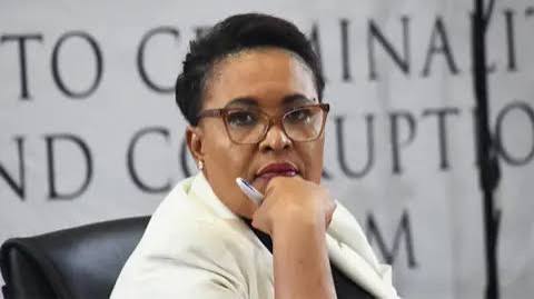 Madlanga Commission: 'Gifts' from a lover and 'botched' cocaine raids - the police inquiry gripping South Africa