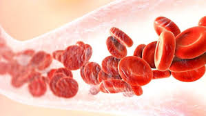9 Foods To Clean Blood Vessels In The Body The burst blood vessels leak blood, which becomes trapped and discolored beneath the surface of the skin, forming a bruise. 9 foods to clean blood vessels in the body