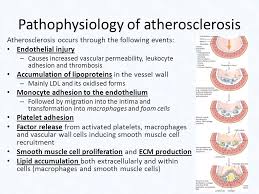 Pbl Cv 2 Pathophysiology Of Coronary Artery Disease Ppt