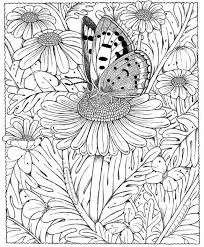 Print een dieren kleurplaat met veel details uitdagende. Volwassen Kleurplaten Vlinder Free Photos