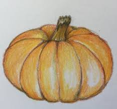 100 Tutorials To Teach You How To Draw Pumpkin Drawing Drawings Pencil Drawings Of Flowers