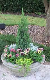 A Chef In The Garden Winter Container Gardening Container Gardening Fall Container Gardens