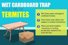 It's cheap at least for now and offers an instant solution to the pest problem. How To Kill Termites Naturally 7 Simple Methods To Get Rid Of Termites