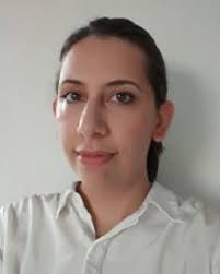 Delft University of Technology L/S-Band Frequency Reconfigurable Multiscale  Phased Array Antenna With Wide Angle Scanning