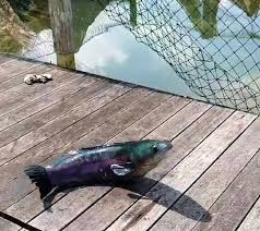 The site owner hides the web page description. Kzymj 5qrxbfmm