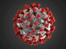 1st case update of the week from b.c.'s top. Covid 19 Update For May 1 Here S The Latest On Coronavirus In B C Vancouver Sun