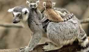 Pin On Massachusetts