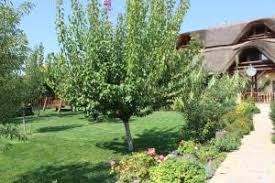 Oaza de liniste si relaxare, pensiunea la traian este localizata in comuna murighiol si are o capacitate de 33 de locuri. A Hotel Com Luxuriose Sowie Billige Unterkunft Jurilovca Rumanien Hotel Reservierung In Jurilovca Und In Der Umgebung