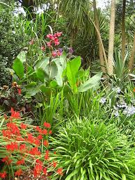 Dorset Jollies Day 3 Tropical Garden Design Tropical Garden Tropical Landscaping