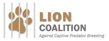 Your trust is our main concern so these ratings for southern lion sdn bhd are shared 'as is' from employees in line with our community guidelines. Open Letter To World Health Organisation Lion Coalition
