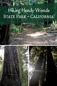 Hendy Woods State Park In The Anderson Valley In California Is Known For Its Redwood Groves And Hiking Trail Best Places To Travel Oregon Travel Travel Blogger