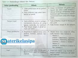 Pindah silang atau crossing over merupakan proses normal yang pasti akan terjadi pada meiosis i, profase i pada sub fase diplotene atau diplonema dimana terjadi pertukaran gen atau alela pada pasangan kromosom homolog. Contoh Soal Mitosis Dan Meiosis Dengan Pembahasannya Contoh Soal Terbaru