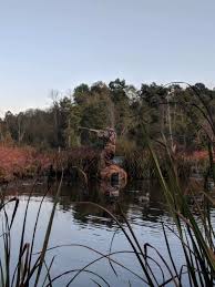 The prevailing wind and the position in relation to the sun are also important factors. Choosing The Best Duck Hunting Kayak For Your Area Great Days Outdoors