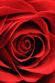 Pin On Kiss My Ruby Red Lips