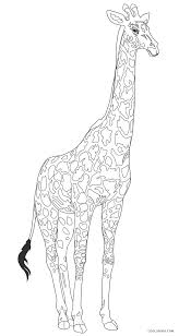 This compilation of over 200 free, printable, summer coloring pages will keep your kids happy and out of trouble during the heat of summer. Free Printable Giraffe Coloring Pages For Kids