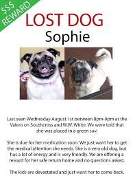 Puppyfinder.com is your source for finding an ideal pug puppy for sale in south carolina, usa area. Lost Pug Please Help Sanantonio