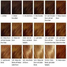 Image For Honey Brown Hair Color Chart Dark Chocolate Brown