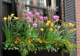 Send flowers, plants & gift baskets to florida! The Dos And Don Ts Of Window Boxes Best Pick Reports