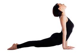 Pin On Exercise