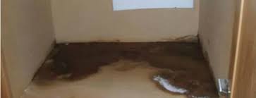 How To Get Rid Of Mold Under Your Sink Quickly And Effectively Kitchen Sink Cleaner Under Kitchen Sinks Get Rid Of Mold