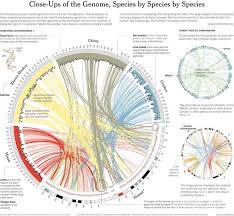 How To Create Complex Graph Chart Like These Using