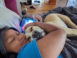 4 1/2 hrs left………until gates get locked…..the junk is still up here…sign  DH. (Less than 6 months left)