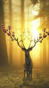 We hope you enjoy our growing collection of hd images to use as a background or home. Iphone Wallpaper Deer Spring Bloom Forest Surreal Hd Hd 4k Best Of Wallpapers For Andriod And Ios