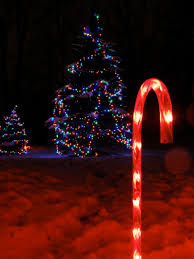 Yard sales today near me, yard sale in christmas circle chula vista, used garden furniture in chula vista ca, yardas de chula vista, yard sale myra chula vista, garagesale chula v, yard sale in chula vista. The Best Places To See Christmas Lights Across The County La Mesa Ca Patch