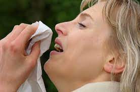 Der pollenflug geht gefühlt jedes jahr früher los, dabei kann man eigentlich jedes jahr zur gleichen zeit mit ungefähr den gleichen pollen rechnen. Heuschnupfen Diese Pollen Fliegen Zurzeit Durch Die Luft Wissen Stuttgarter Zeitung