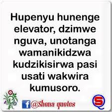 We love you guys x. Shona Quotes Photos Facebook