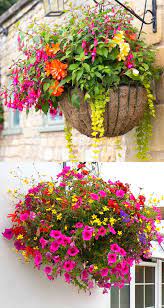 Fill your hanging flower baskets with the right plants and watch butterflies and hummingbirds flock this flower may be the perfect candidate for a hanging basket. 15 Beautiful Flower Hanging Baskets Best Plant Lists Hanging Plants Diy Plants For Hanging Baskets Hanging Plants Outdoor