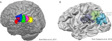 Image result for Parietal Lobe