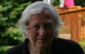 Dead beavers prompt Chelsea, Que., residents to blame regional government