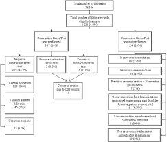 Image result for Contraction Stress Test