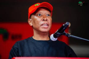 In case you missed it | Julius Malema in his element - Sunday World
