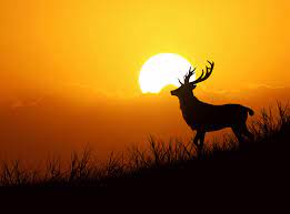 Check spelling or type a new query. The Top 20 Nature Photos On 500px So Far This Year 500px