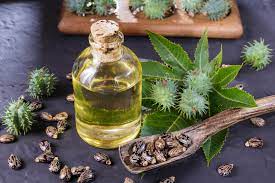 L'huile de ricin est une huile vgtale obtenue partir. Uleiul De Ricin Beneficii Si Contraindicatii Womenontop Ro