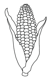 The hexadecimal rgb code of corn color is #fbec5d and the decimal is rgb(251,236,93). Coloring Pages Corn Cob Coloring Page