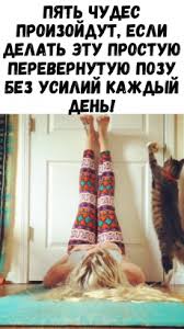 6 типов ожирения и как справиться с каждым из них Pin Na Doske Zdorove