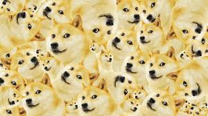 A collection of the top 46 doge wallpapers and backgrounds available for download for free. Hd Doge Wallpaper 8169ieh Jpg Picserio Com