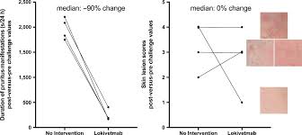 Proactive Maintenance Therapy Of Canine Atopic Dermatitis