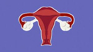 When you have pcos, your reproductive hormones are out of balance. What Is Pcos Everything You Need To Know Flare