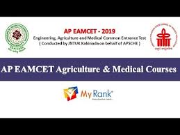 Jawaharlal nehru technological university, kakinada conducts ap eamcet on behalf of andhra pradesh state. Ap Eamcet 2019 Agriculture And Medical Courses Myrank Youtube