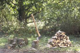Heating Properties Of Firewood By Tree Species